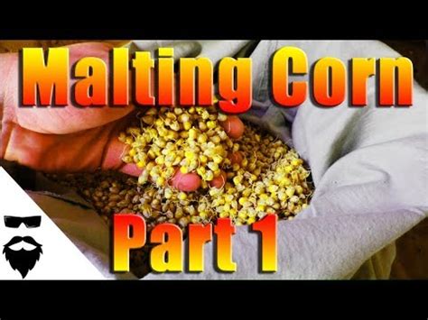 malted corn how to make.